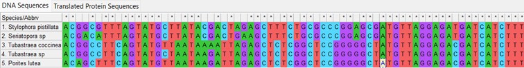 Multiple Sequence Alignment
